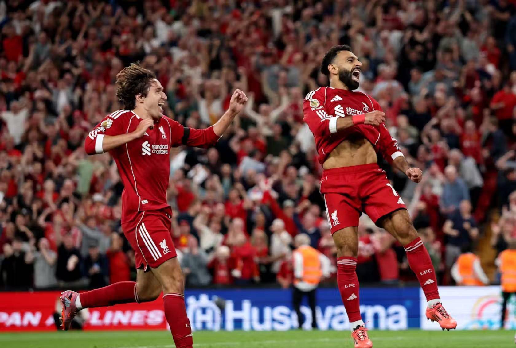 曼联中场新 曼联中场新